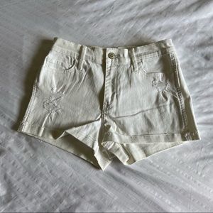 NWOT Hollister White Distressed Jean Shorts